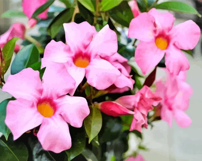 pink mandevilla flowers Diamond By Numbers Pink Mandevilla Flowers Diamond Painting