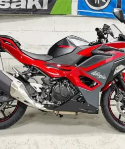 Red Kawasaki Motorcycle Diamond Painting