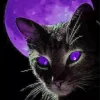 Black Cat And Purple Moon Diamond Painting