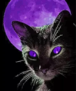 Black Cat And Purple Moon Diamond Painting