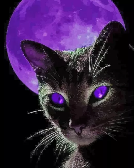 Black cat and purple moon Diamond With Numbers Black Cat And Purple Moon Diamond Painting