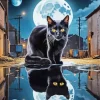 Black Cat Reflection Diamond Painting