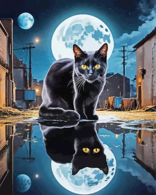 Black cat reflection Diamond Paintings Black Cat Reflection Diamond Painting