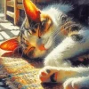 Cat Nap Diamond Painting