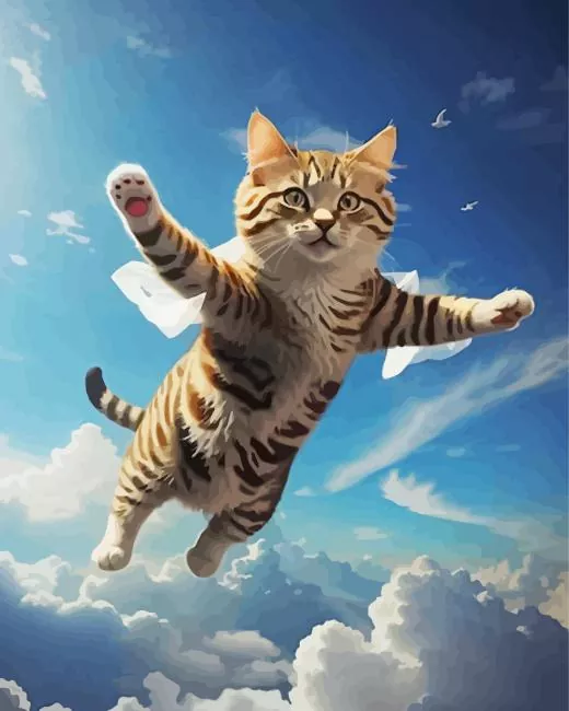 Cat flying in the sky Diamond By Numbers Cat Flying In The Sky Diamond Painting