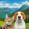 Dog And Cat selfie Diamond Painting