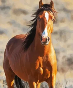 Brown Mustang Horse Diamond Painting