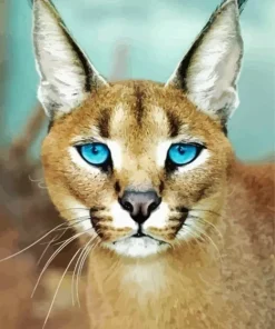 Caracal With Blue Eyes Diamond Painting