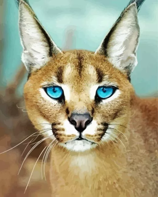 caracal with blue eyes Diamond by Numbers Caracal With Blue Eyes Diamond Painting