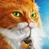 Cat And Mouse Art Diamond Painting