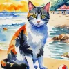 Cat At The Beach Art Diamond Painting