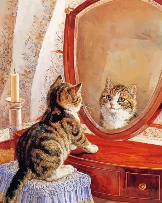cat in the mirror Diamond By Numbers Cat In The Mirror Diamond Painting