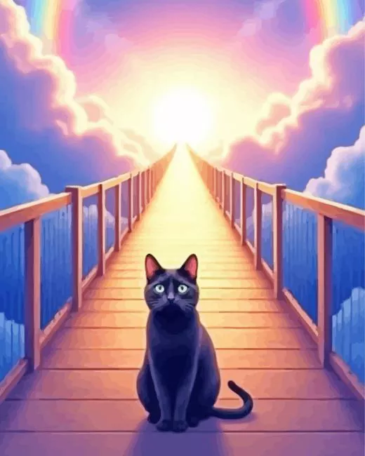 cat over the rainbow bridge Diamond Paintings Cat Over The Rainbow Bridge Diamond Painting