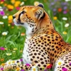Cheetah And Flowers Diamond Painting