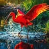 Cool Scarlet Ibis Art Diamond Painting