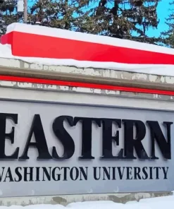 Eastern Washington University Diamond Painting