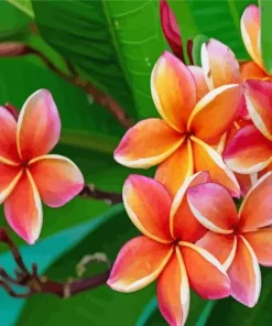 Frangipani Flowers Diamond Painting
