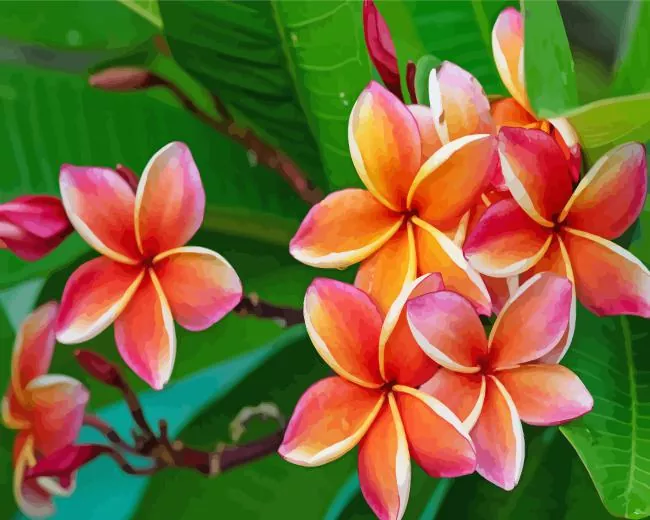 frangipani flowers Diamond Paintings Frangipani Flowers Diamond Painting