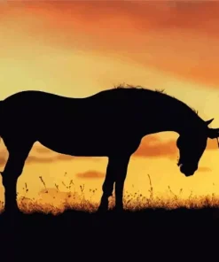 Girl And Horse Silhouette Diamond Painting