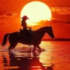 Girl Horse Silhouette Sunset Diamond Painting