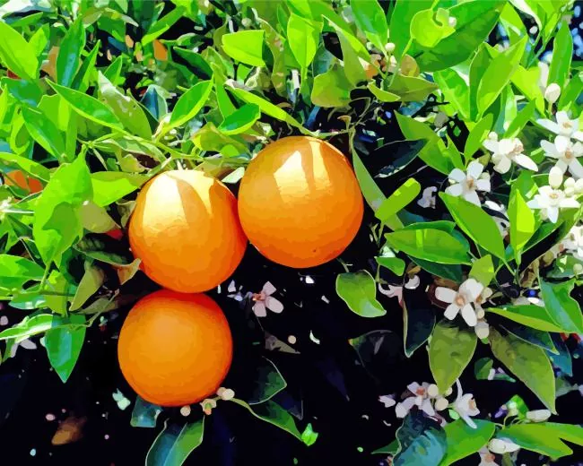 green leaves orange tree Diamond By Numbers Green Leaves Orange Tree Diamond Painting