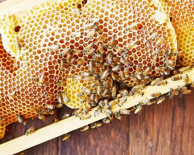 honey bee hive Diamond By Numbers Honey Bee Hive Diamond Painting