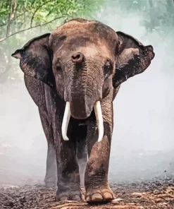 Indian Elephant Diamond Painting