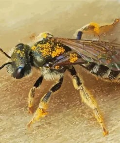 Legged Furrow Bee Diamond Painting