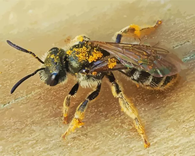 legged furrow bee Diamond By Numbers Legged Furrow Bee Diamond Painting