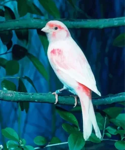 Mosaic Canary Bird Diamond Painting