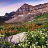 Mount Timpanogos Diamond Painting