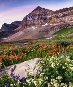Mount Timpanogos Diamond Painting
