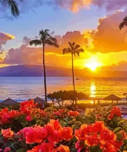 Napili Bay Sunset Diamond Painting