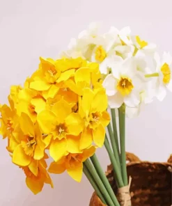 Narcissus Bouquet Diamond Painting