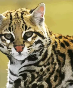 Ocelot Wild Cat Diamond Painting