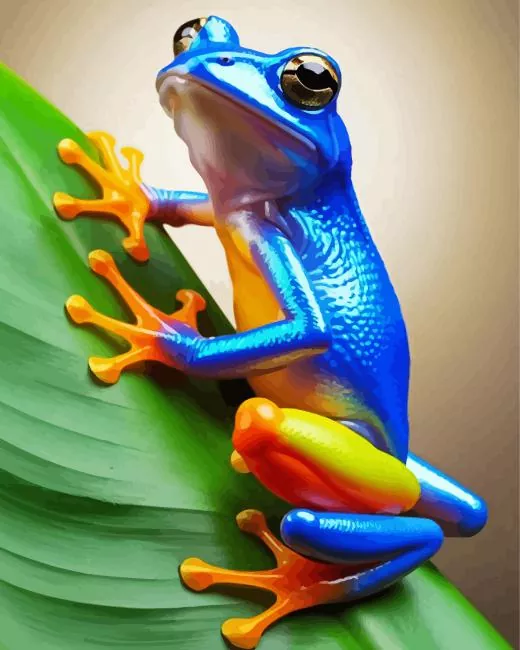 orange and blue frog Diamond By Numbers Orange And Blue Frog Diamond Painting