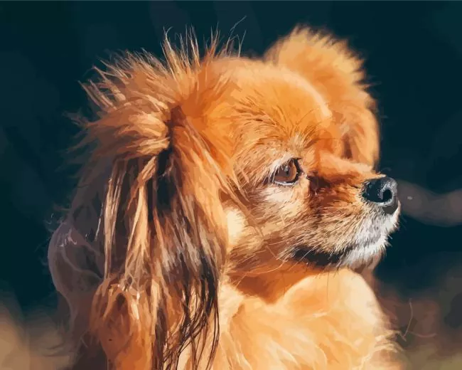 orange papillon dog Diamond By Numbers Orange Papillon Dog Diamond Painting