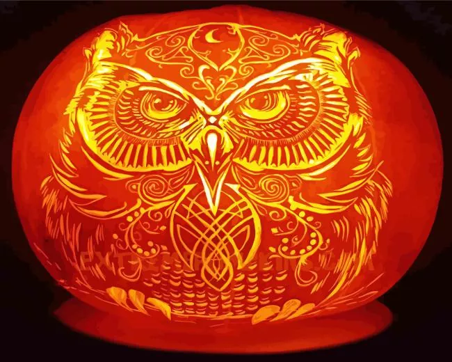 owl pumpkin Diamond By Numbers Owl Pumpkin Diamond Painting