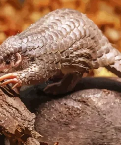 Pangolin Animal Diamond Painting