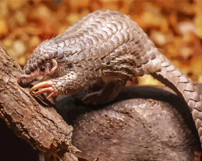 pangolin animal Diamond With Numbers Pangolin Animal Diamond Painting