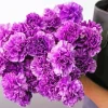 Purple Carnation Flowers Diamond Painting