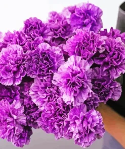 Purple Carnation Flowers Diamond Painting