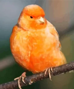 Red Factor Canary Diamond Painting