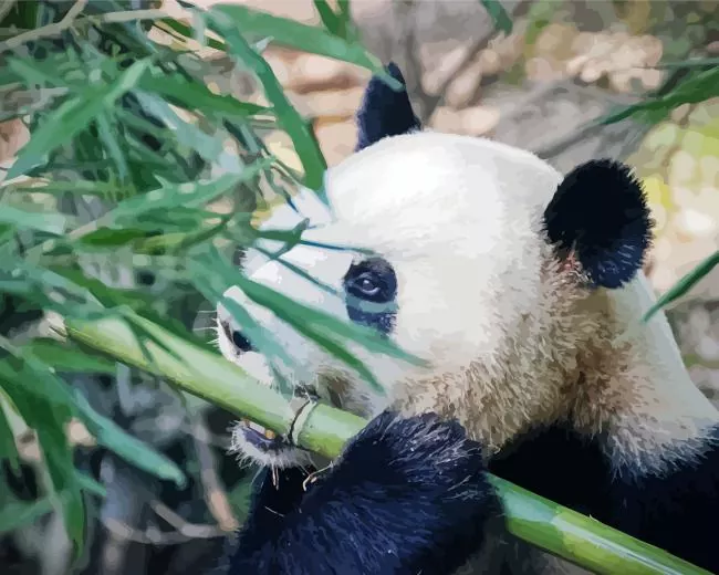 sad panda Diamond by Numbers Sad Panda Diamond Painting