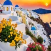 Santorini Flowers Art Diamond Painting