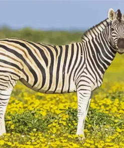 Savanna Zebra Art Diamond Painting