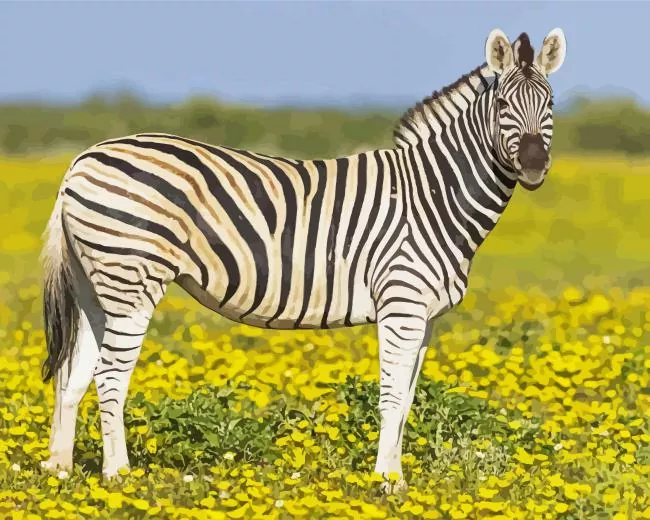 savanna zebra art Diamond Paintings Savanna Zebra Art Diamond Painting