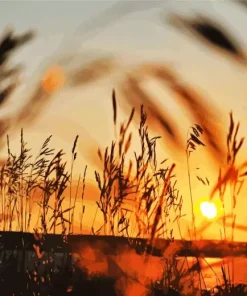 Sunset Country Diamond Painting