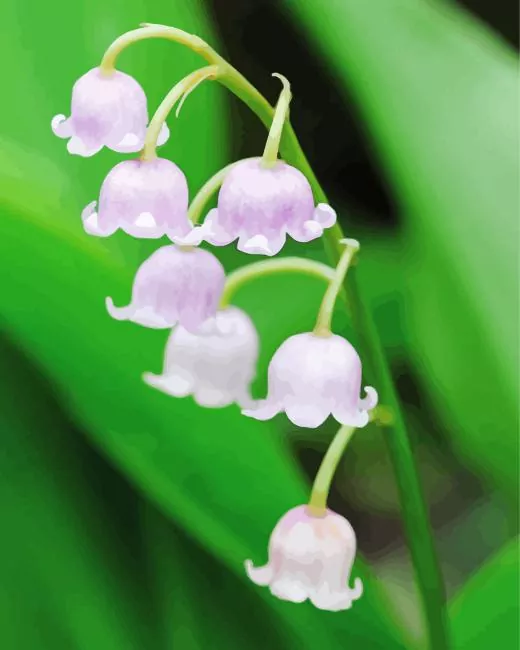 white lily of the valley Diamond Dotz White Lily Of The Valley Diamond Painting