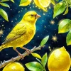 Yellow Canary Bird Diamond Painting